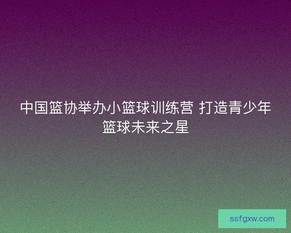 中国篮协举办小篮球训练营 打造青少年篮球未来之星