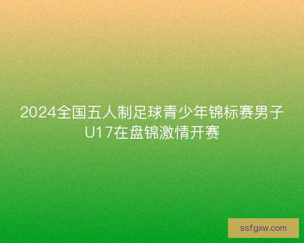 2024全国五人制足球青少年锦标赛男子U17在盘锦激情开赛