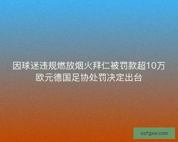 因球迷违规燃放烟火拜仁被罚款超10万欧元德国足协处罚决定出台